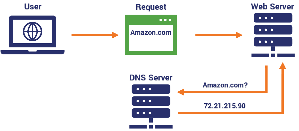 DNS Image